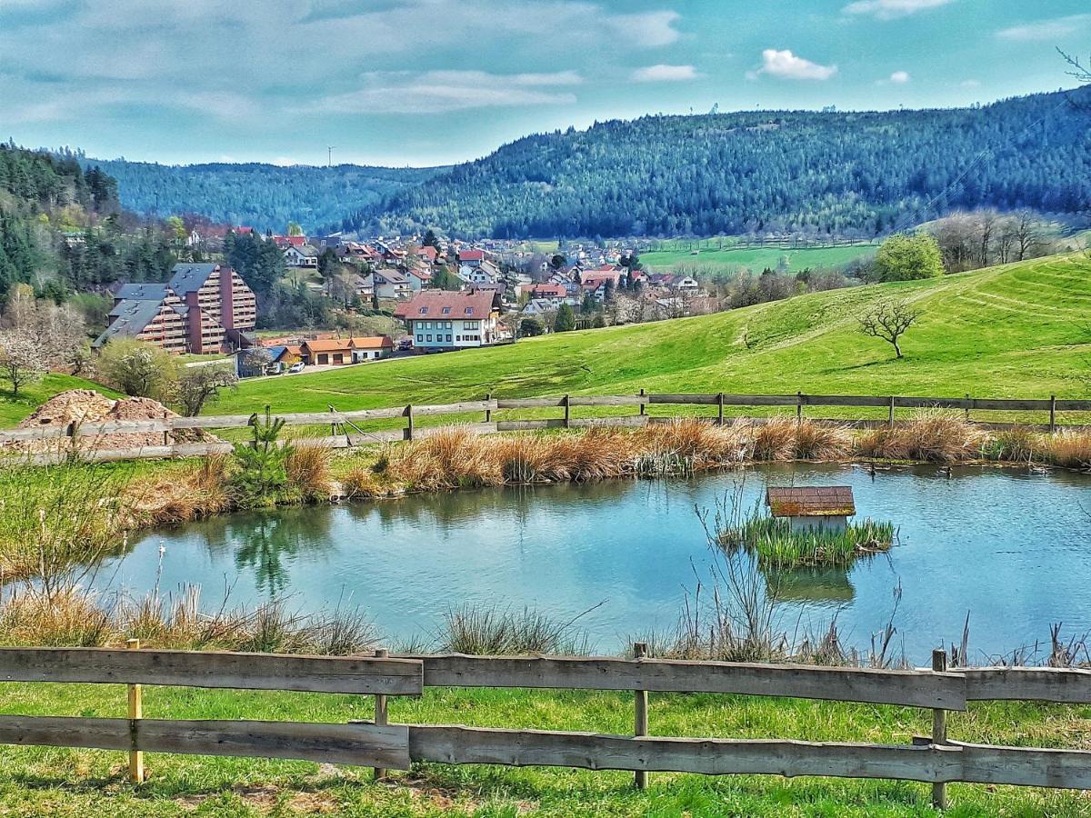 Appartement Schwarzwald Woelkchen à Baiersbronn Extérieur photo