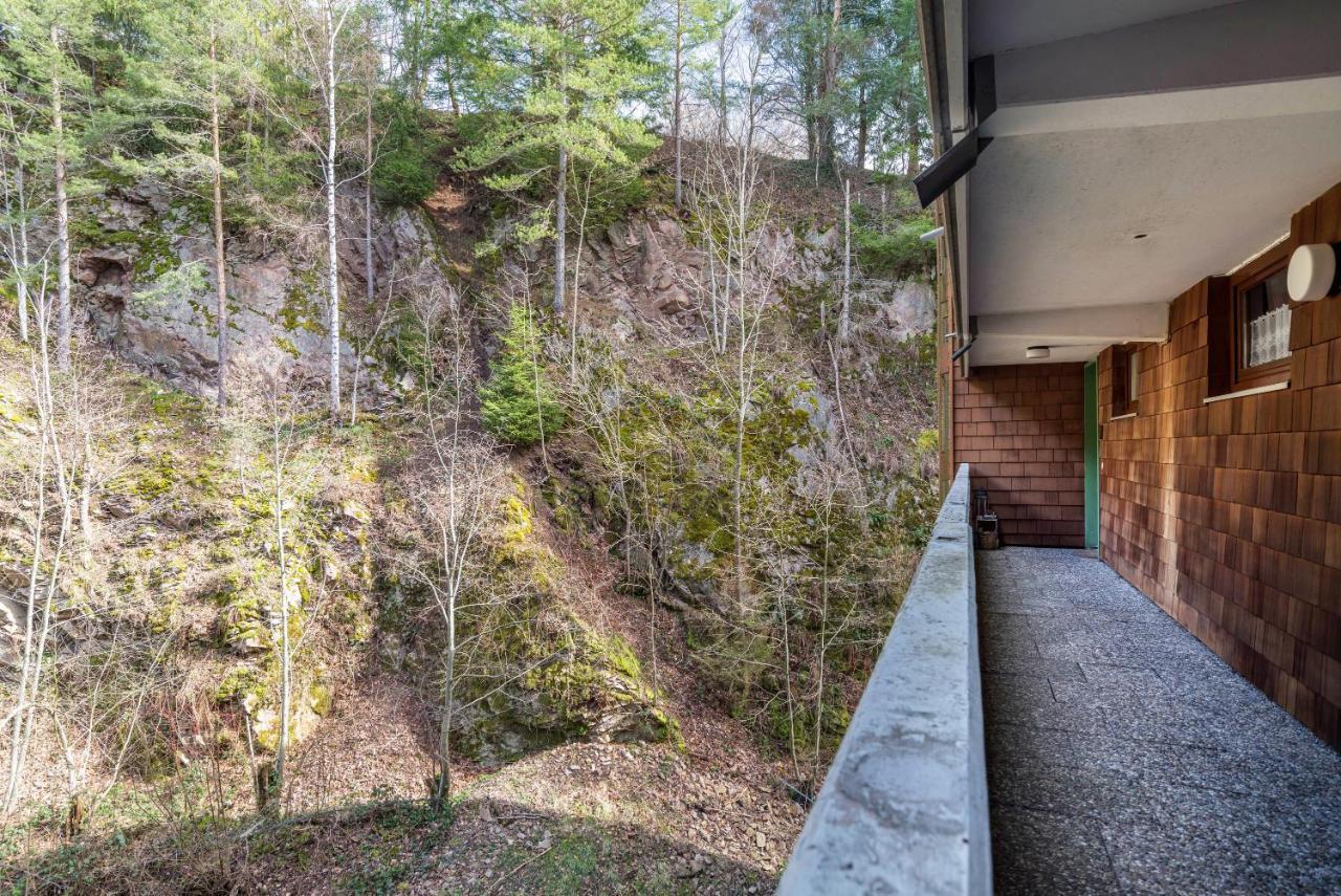 Appartement Schwarzwald Woelkchen à Baiersbronn Extérieur photo